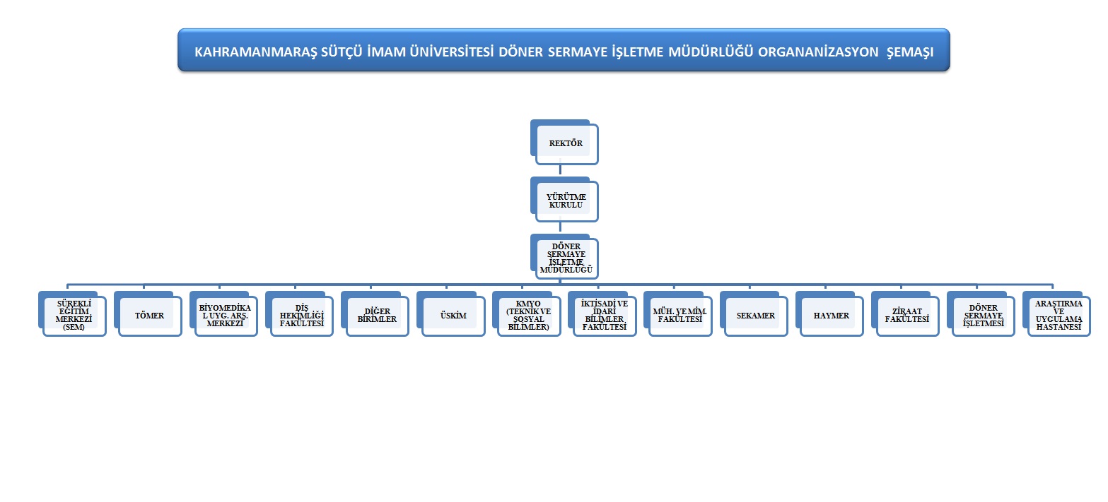 ORGANİZASYON ŞEMASI